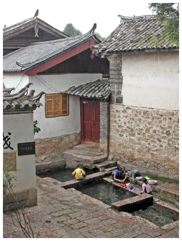 51 tygr a lijiang